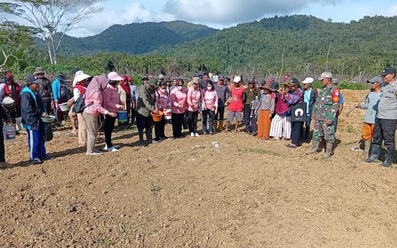 "Gapoktan Bemban di Desa Sai Bening, Sambas, mulai lakukan semai benih padi perdana. Petani didampingi aparat desa kejar percepatan masa tanam. "