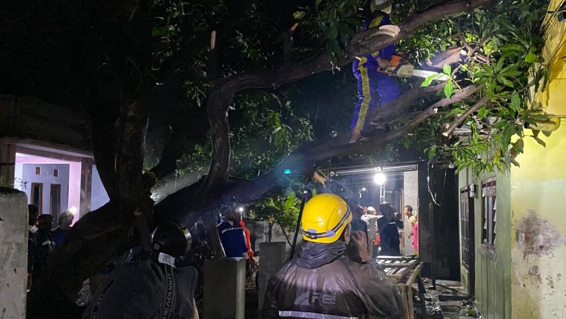 Proses evakuasi pohon tumbang akibat angin kencang oleh petugas gabungan di Desa Besuki, Kec. Besuki, Kab. Situbondo, Jawa Timur, Selasa (20/1).