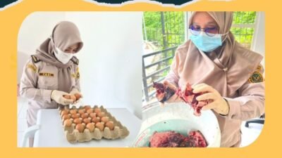 Petugas Karantina Kalbar di PLBN Entikong sedang memeriksa dan menahan media pembawa hewan berupa telur ayam dan daging segar ilegal. (Dok. HO/Faktakalbar.id)