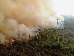 BPBD Sanggau Minta Warga Waspada Potensi Karhutla