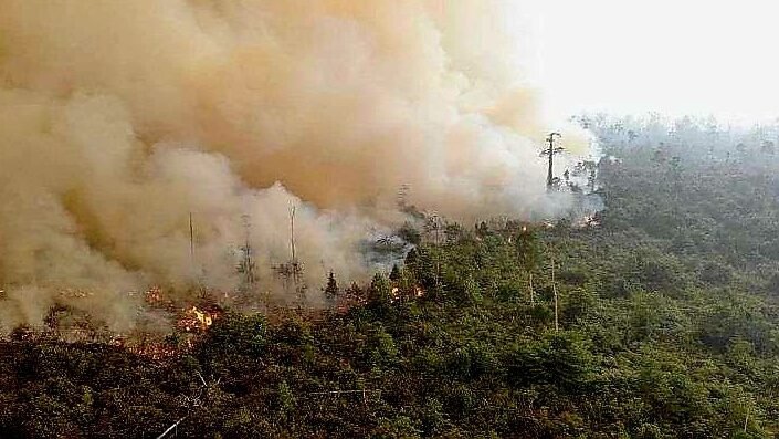 Karhutla hanguskan 14 hektare lahan di Ketapang.