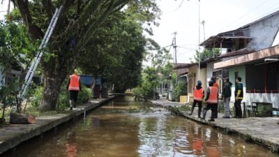 Petugas Dinas PUPR Kota Pontianak melakukan pemangkasan dan perawatan pohon di tepi parit permukiman warga Jalan Selat Sumba, Pontianak Utara. (Dok. HO/Faktakalbar.id)