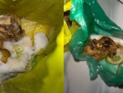 Miris! Makanan Balita Disajikan dalam Kresek, SPPG Pandeglang Malah “Cuci Tangan” Salahkan Kader