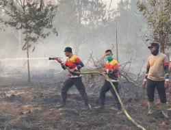 Polisi Segel 9 Hektare Lahan Terbakar di Kubu Raya, 24 Titik Api Terpantau di Empat Kecamatan