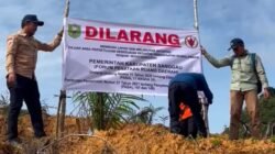 Pemkab Sanggau lakukan penyegelan lahan sawit PT CUT seluas 60 hektare karena garap area PIPPIB.