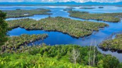 "Bosan dengan suasana kota? Kunjungi 5 wisata danau di Kalbar yang memukau ini. Mulai dari Danau Sentarum yang mirip Amazon hingga Danau Biru yang eksotis."