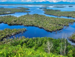 Surga Tersembunyi! 5 Wisata Danau Terindah di Kalbar yang Wajib Masuk Bucket List Liburanmu