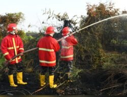 Respon Cepat, Satgas Karhutla Kodaeral XII Padamkan Api di Wajok Hulu dan Serdam