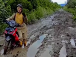 Curhat Lewat Lagu, Guru di Sambas Sindir Kondisi Jalan Rusak Parah Menuju Sekolah