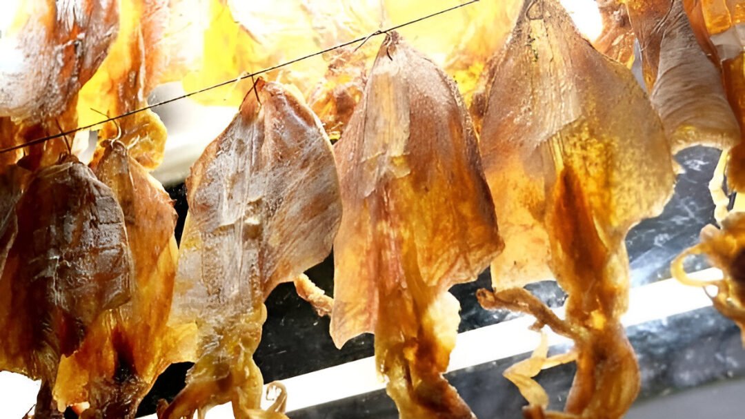 Sotong Pangkong. (Dok. Ist)