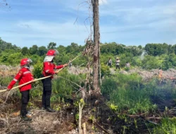 Suhu Tembus 35 Derajat, Kayong Utara Masuk Fase Rawan Karhutla, Simulasi Pemadaman Digelar