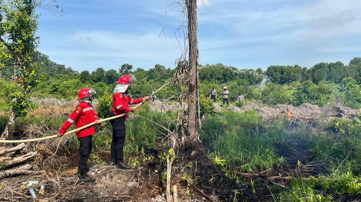 "Suhu udara capai 35°C picu status rawan Karhutla di Kayong Utara. Petugas gelar simulasi pemadaman di Desa Harapan Mulia antisipasi kebakaran lahan gambut meluas. "