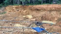 "Aktivitas tambang emas ilegal (PETI) di Boyan Tanjung, Kapuas Hulu, kembali marak menggunakan alat berat. Instruksi Presiden Prabowo dinilai belum efektif di lapangan."