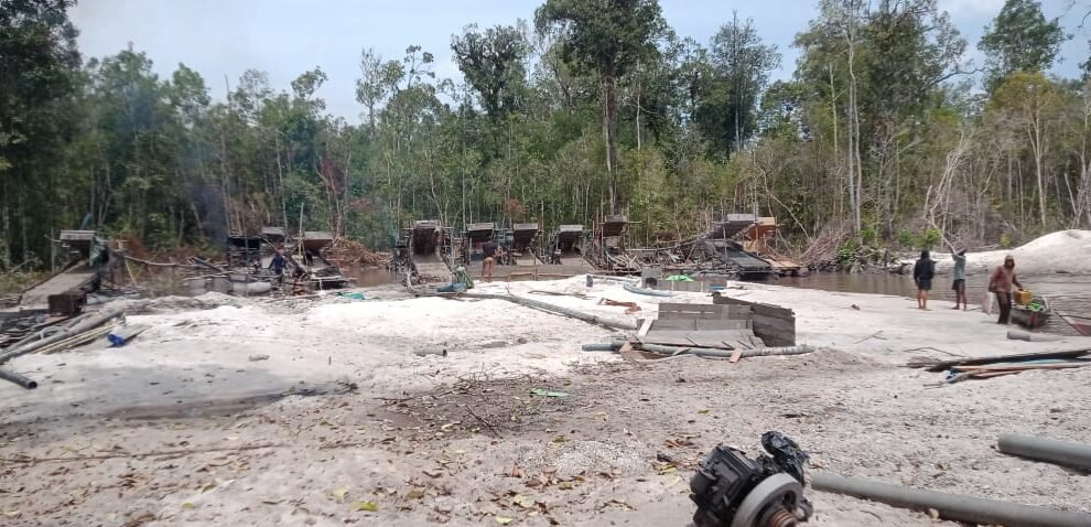 "Aktivitas tambang emas ilegal di Ketapang kembali terpantau di Desa Sungai Pelang pasca penertiban. Polda Kalbar diminta tindak tegas pemodal PETI."