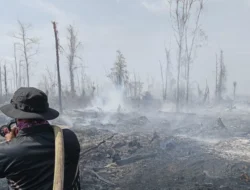 Tim Gabungan Berhasil Padamkan Api, Titik Api di 9 Kecamatan Kubu Raya Dinyatakan Nihil