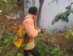 Lima Hektare Lahan di Parapat Terbakar, Tim Gabungan Berjibaku Padamkan Api