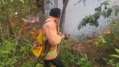 Petugas saat melakukan upaya pemadaman dan pendinginan di lokasi kebakaran lahan untuk mencegah api meluas.