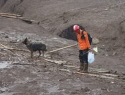 Endus Keberadaan Korban, Polri Terjunkan 6 Anjing Pelacak K9 ke Lokasi Longsor Cisarua