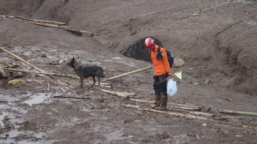 Personel Unit K9 Ditpolsatwa Korps Sabhara Baharkam Polri bersama anjing pelacak saat menyisir lokasi longsor guna mencari keberadaan korban.