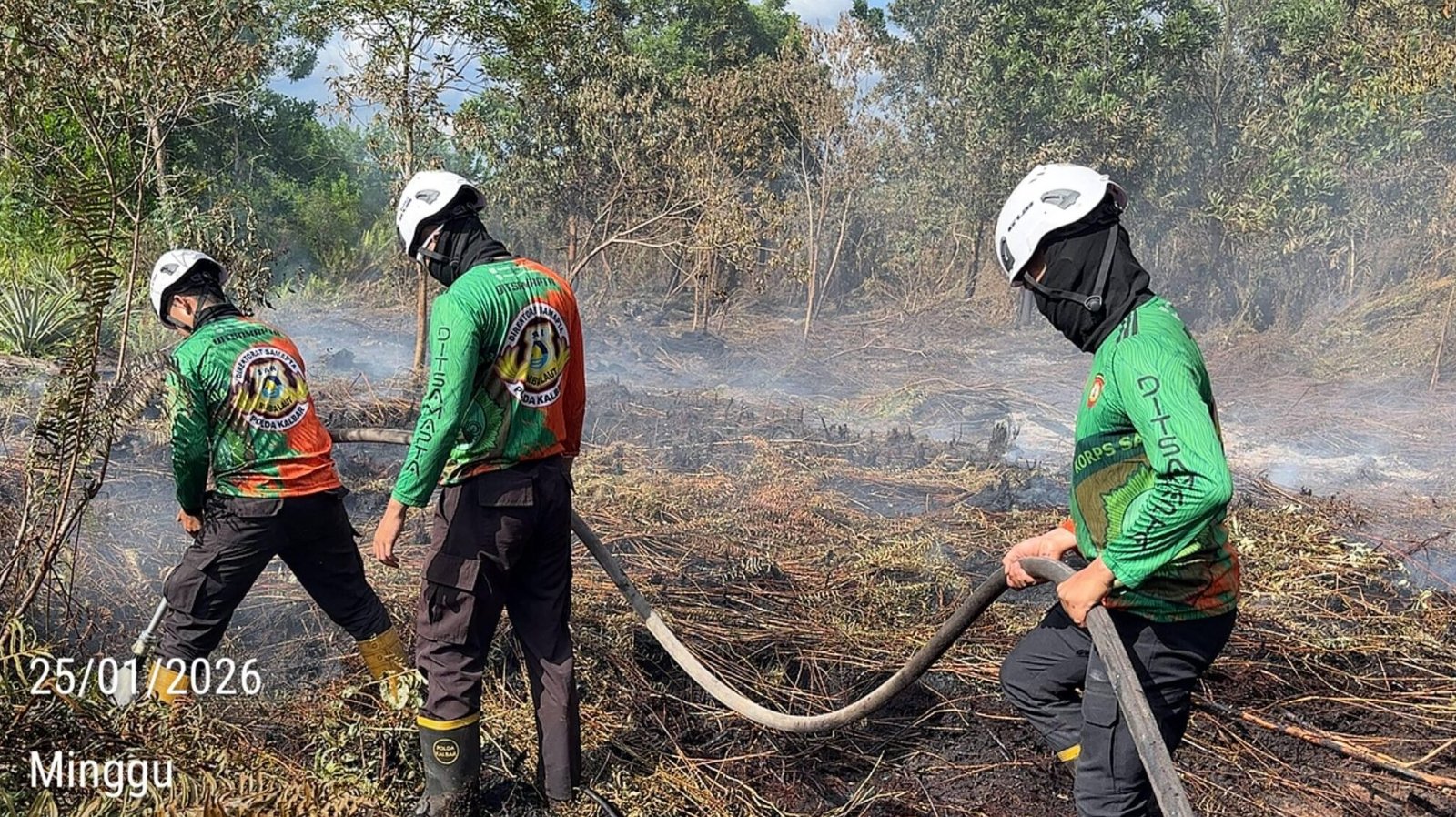 Personel gabungan saat melakukan proses pendinginan dan pembasahan lahan gambut yang masih mengeluarkan asap di Desa Punggur Kecil, Minggu (25/1).