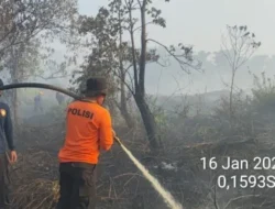 Ancam Penerbangan dan Pemukiman, Tim Gabungan Padamkan Kebakaran Lahan di Dekat Bandara Supadio