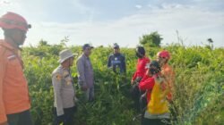 "Titik api terdeteksi di lahan gambut Pulau Maya, Kayong Utara. Tim gabungan terkendala akses saat ground check. BMKG peringatkan suhu panas capai 35°C."