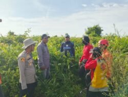 Titik Api Muncul di Lahan Gambut Pulau Maya, Tim Gabungan Tembus Semak Belukar di Tengah Cuaca Ekstrem