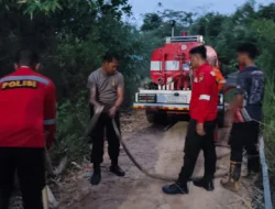 Sempat Padam, Titik Api Kembali Muncul di Dekat Situs Kolam Belanda Pantai Pulau Datuk