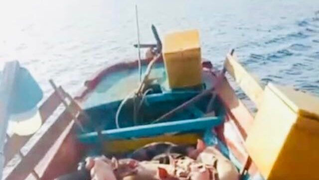 Tumpukan ratusan ekor babi di atas kapal kayu tanpa nama yang diamankan TNI AL di perairan Nias Utara. (Dok. HO/Faktakalbar.id)
