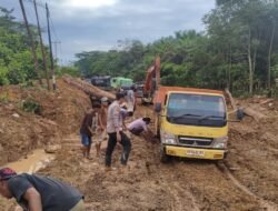 Lumpur Lembah Hijau Jebak Truk, Jalur Nanga Tayap–Sungai Kelik Macet Total