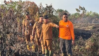 Wakil Wali Kota Pontianak Bahasan meninjau langsung lokasi kebakaran hutan dan lahan di Jalan Parit H Husin II. (Dok. HO/Faktakalbar.id)