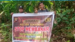 "BMKG menetapkan status waspada Karhutla di pesisir Kayong Utara. Suhu mencapai 33°C dan angin kencang meningkatkan risiko kebakaran lahan gambut."