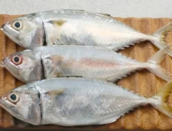 3 Makanan Super Ini Ampuh Turunkan Risiko Serangan Jantung dan Stroke