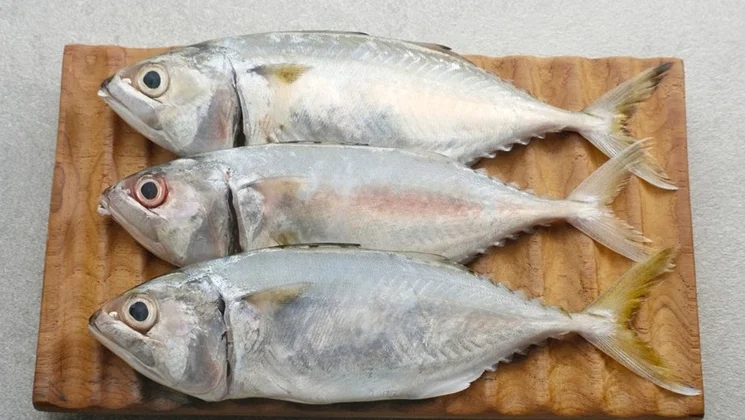 "Ingin jantung sehat dan bebas stroke? Simak 3 jenis makanan super yang terbukti ampuh membersihkan pembuluh darah dan menurunkan kolesterol jahat berikut ini."