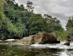 Pesona Bumi Lawang Kuari, 4 Hal Ikonik Sekadau yang Wajib Anda Eksplorasi