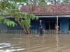 Bencana Awal Februari: Banjir Rendam 443 Rumah di Lampung, Longsor Terjang Kupang dan Bandung Barat