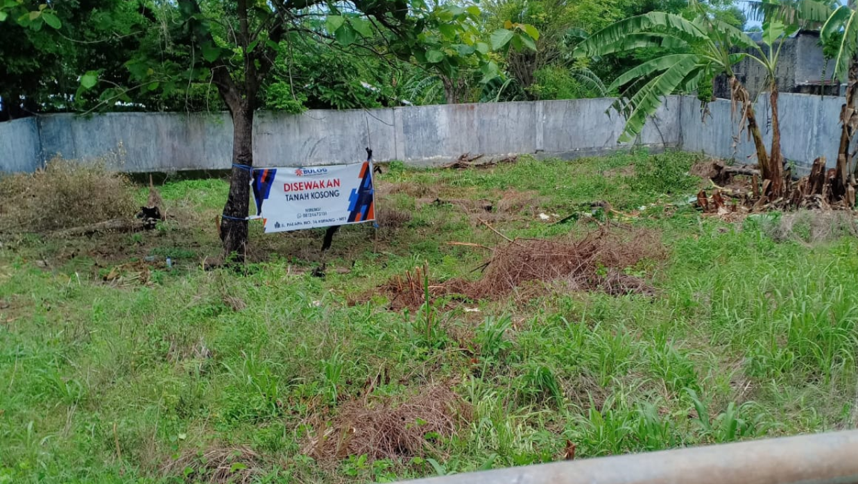 Ilustrasi kawasan lahan terlantar yang menjadi salah satu objek fokus dalam aturan baru pemerintah terkait penertiban tanah.