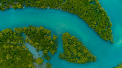 Indonesia pelajari Desain Pasar Karbon di California. Fokus pada arsitektur hukum, transparansi data, dan komitmen politik untuk mencapai target NDC 2030.