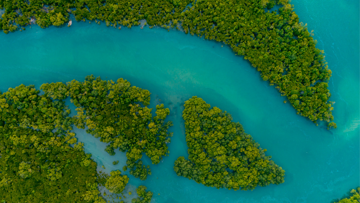 Indonesia pelajari Desain Pasar Karbon di California. Fokus pada arsitektur hukum, transparansi data, dan komitmen politik untuk mencapai target NDC 2030.