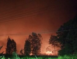 Karhutla di Mempawah Meluas, Api Lahap Kios Warga Desa Galang