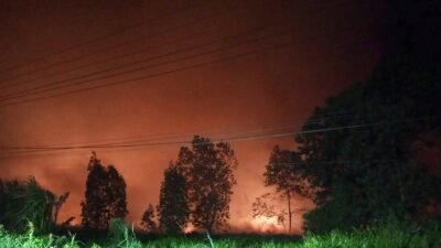 Karhutla di Mempawah meluas di Desa Galang. Api hanguskan satu kios nanas warga. BPBD sebut angin kencang dan minim air persulit pemadaman.