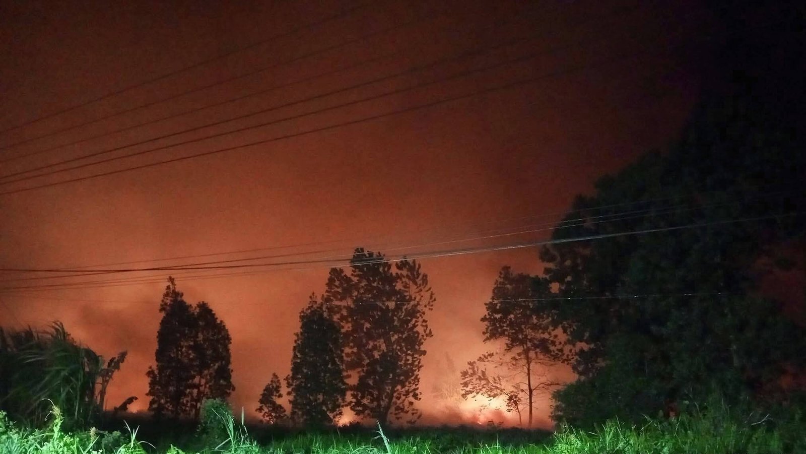 Karhutla di Mempawah meluas di Desa Galang. Api hanguskan satu kios nanas warga. BPBD sebut angin kencang dan minim air persulit pemadaman.