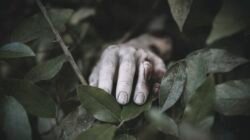 Pensiunan ASN Mempawah, Ruslan (60), ditemukan meninggal dunia di kebunnya di Desa Pasir setelah sempat hilang.