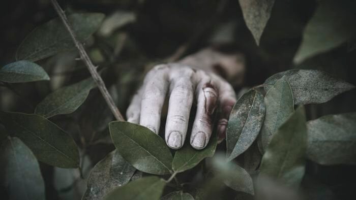 Pensiunan ASN Mempawah, Ruslan (60), ditemukan meninggal dunia di kebunnya di Desa Pasir setelah sempat hilang.