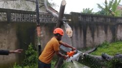 Personel BPBD Kabupaten Banyumas bersama warga saat membersihkan material pohon tumbang yang menimpa rumah di Kecamatan Purwokerto Selatan. (Dok. HO/Faktakalbar.id)