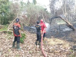 Kebakaran Hutan dan Lahan Melanda Dua Desa di Parigi Barat