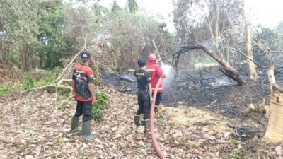 Proses penanganan kebakaran hutan dan lahan di wilayah Kecamatan Parigi Barat, Kabupaten Parigi Moutong pada Sabtu (31/1). (Dok. BPBD Kabupaten Parigi Moutong)