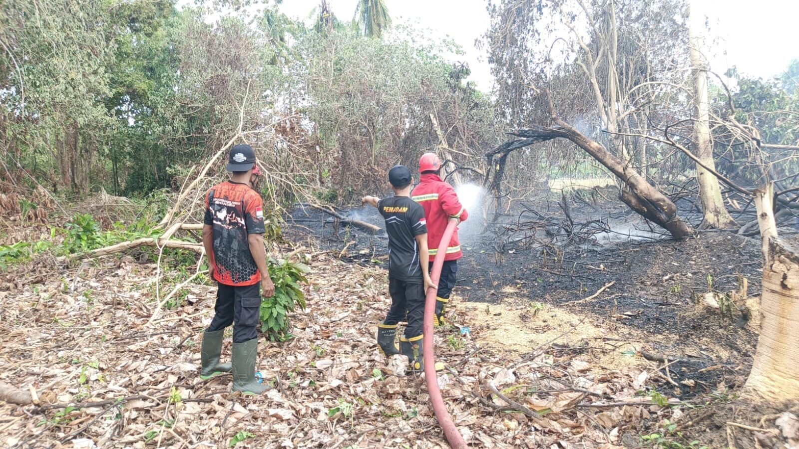 Proses penanganan kebakaran hutan dan lahan di wilayah Kecamatan Parigi Barat, Kabupaten Parigi Moutong pada Sabtu (31/1). (Dok. BPBD Kabupaten Parigi Moutong)