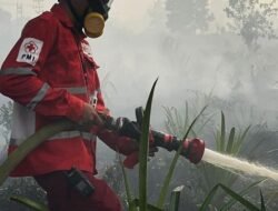 Update Karhutla Kalbar: Luasan Lahan Terbakar Meningkat, Mempawah dan Sambas Terparah