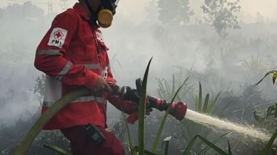 Petugas gabungan berupaya memadamkan api yang membakar hutan dan lahan di Kalimantan Barat. (Dok. HO/Faktakalbar.id)